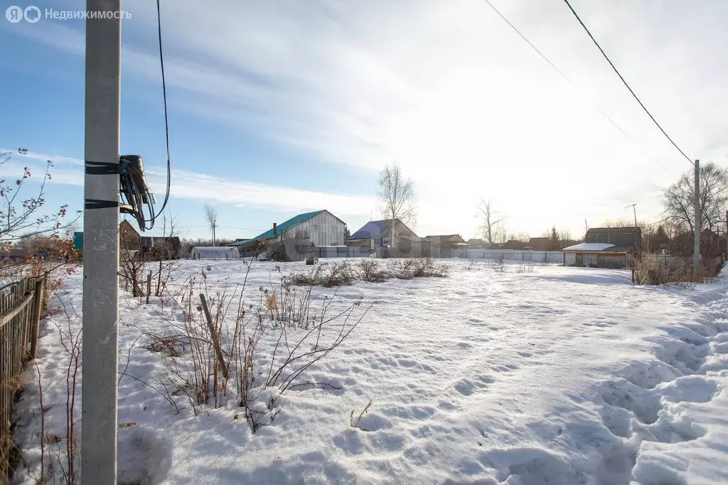 Участок в Бердск, СНТ Марьин Лог, 50-я улица (5.93 м) - Фото 2