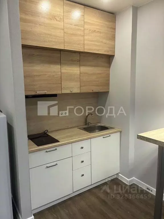 Студия Новосибирская область, Новосибирск ул. Михаила Кулагина, 29/1 ... - Фото 2