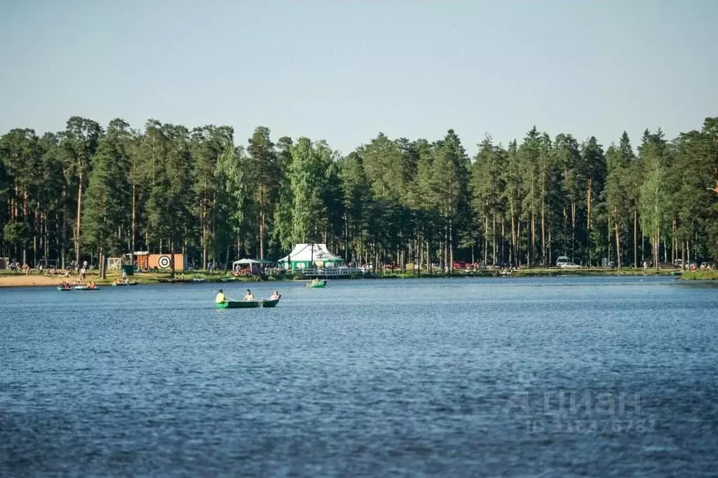 Участок в Ленинградская область, Всеволожский район, Колтушское ... - Фото 1