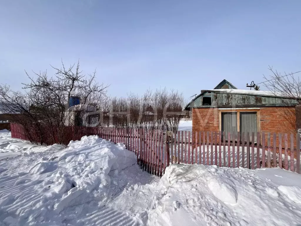 Дом в Омская область, Омск Крона СНТ, 458 (25 м) - Фото 1