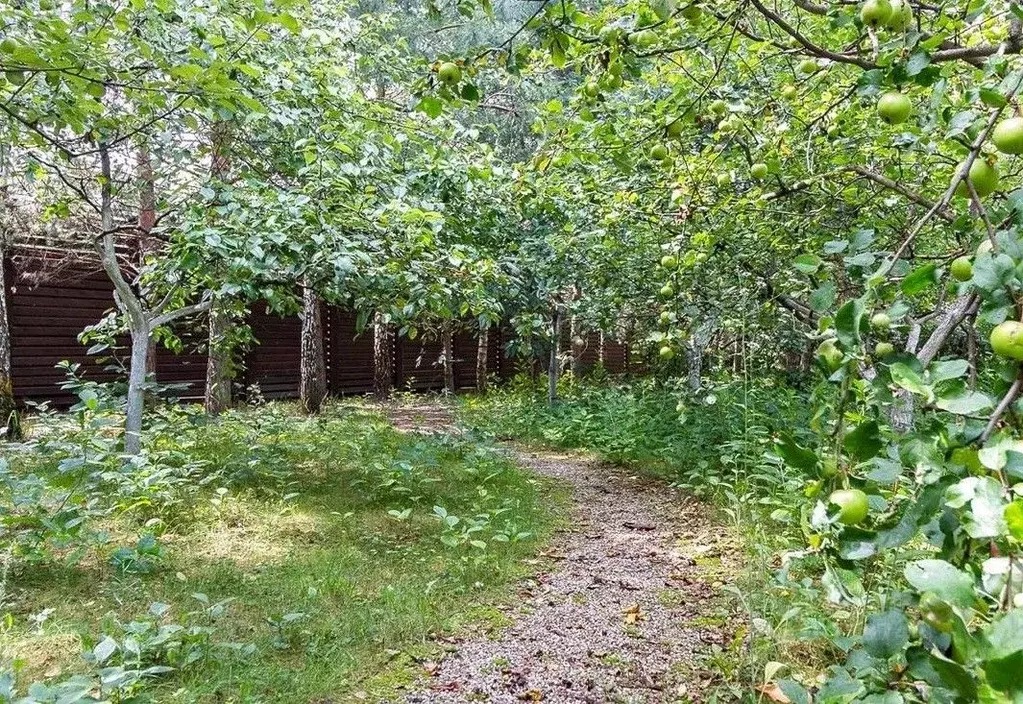 Участок в Московская область, Одинцовский городской округ, пос. ... - Фото 1