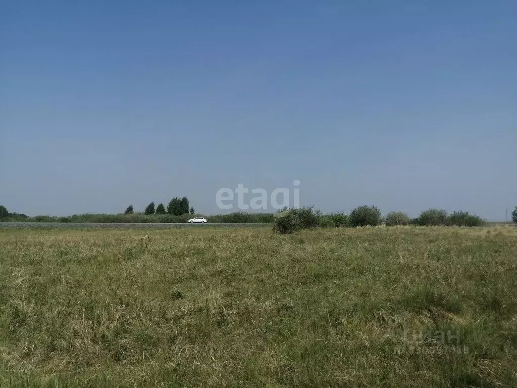 Участок в Челябинская область, с. Кунашак ул. Дружбы (12.6 сот.) - Фото 2