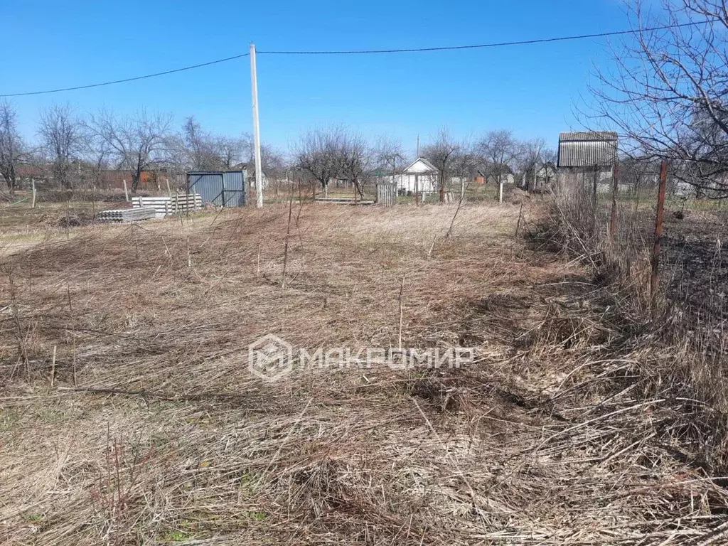 Участок в Брянская область, Выгоничский район, Кокинское с/пос, с. ... - Фото 2