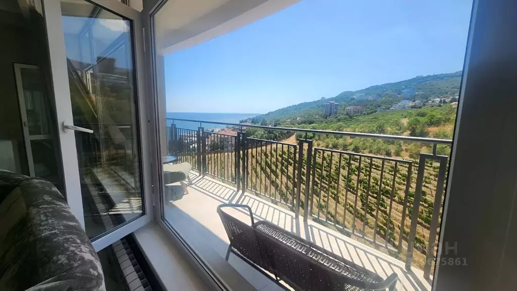 Студия Крым, Ялта муниципальный округ, Ливадия пгт ул. Виноградная, ... - Фото 1