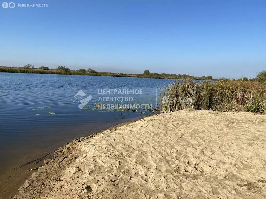Участок в Рязанская область, Спасский муниципальный округ, деревня ... - Фото 1
