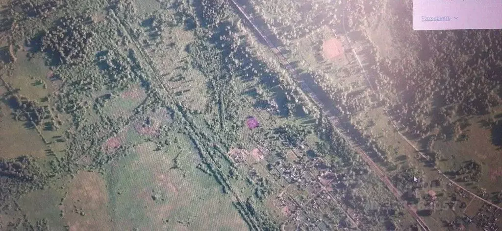 Участок в Тюменская область, Ялуторовский муниципальный округ, Поле ... - Фото 1