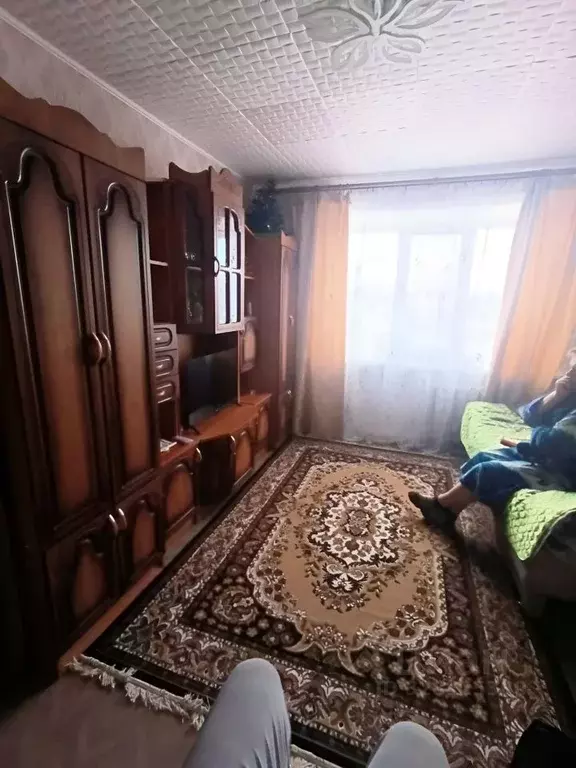 1-к кв. Псковская область, Псков Инженерная ул., 10/6 (20.7 м) - Фото 1