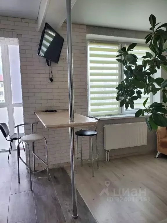 Студия Калининградская область, Гурьевск бул. Краковский, 3 (28.5 м) - Фото 2