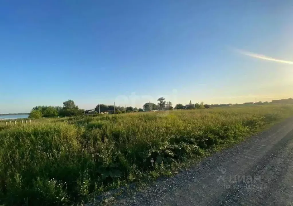 Участок в Челябинская область, Каслинский муниципальный округ, д. ... - Фото 1