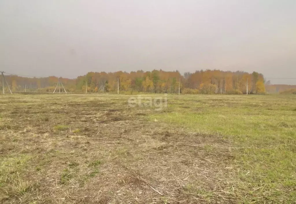 Участок в Тюменская область, Тюменский район, с. Горьковка  (8.1 сот.) - Фото 0