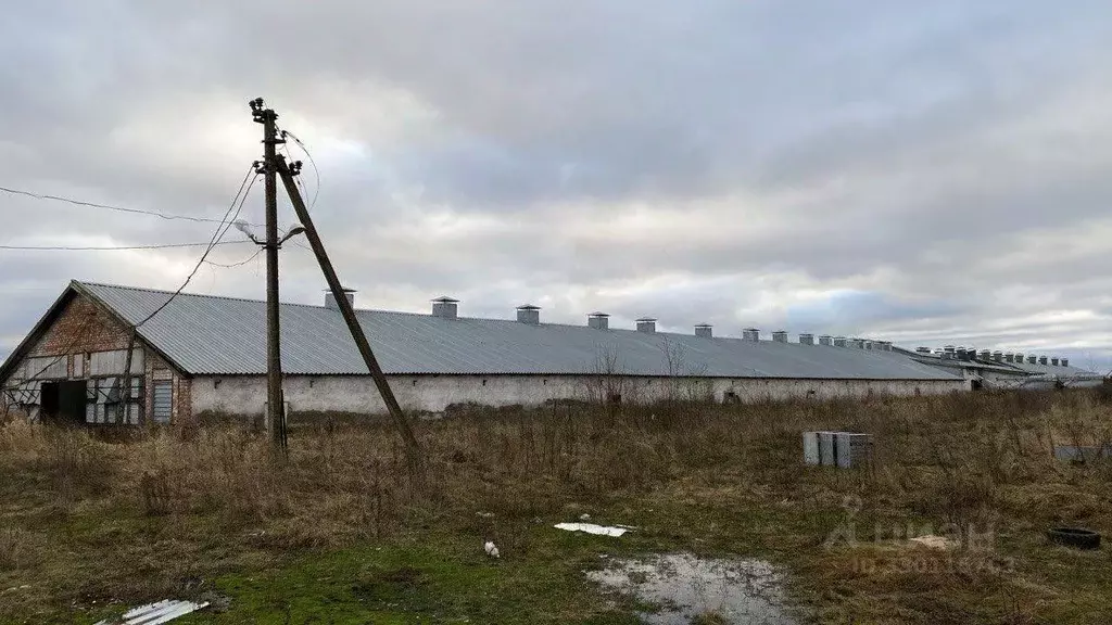 Производственное помещение в Новгородская область, Новгородский ... - Фото 1