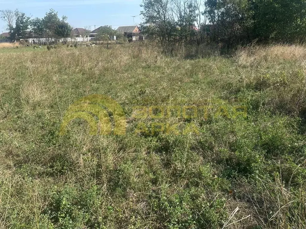 Участок в Краснодарский край, Красноармейский район, Полтавская ст-ца ... - Фото 1