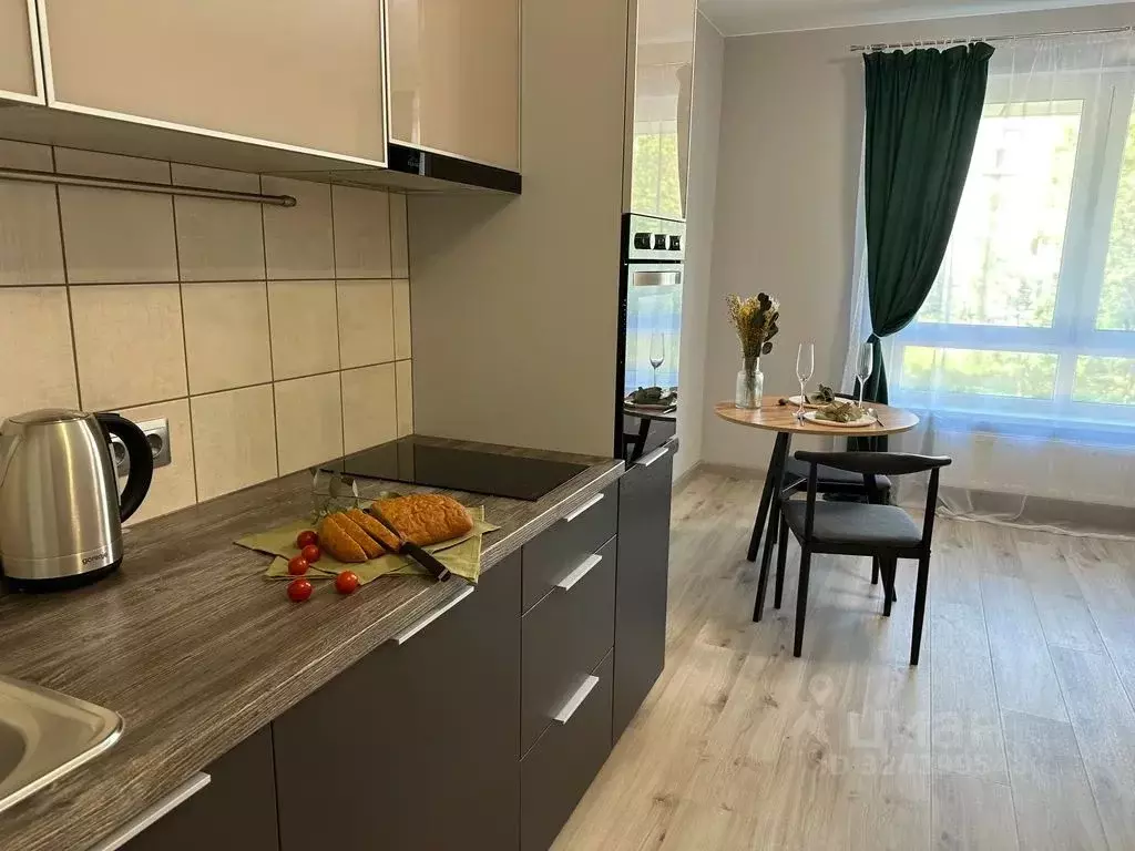 1-к кв. Карелия, Петрозаводск Пробная ул., 15 (29.0 м) - Фото 1