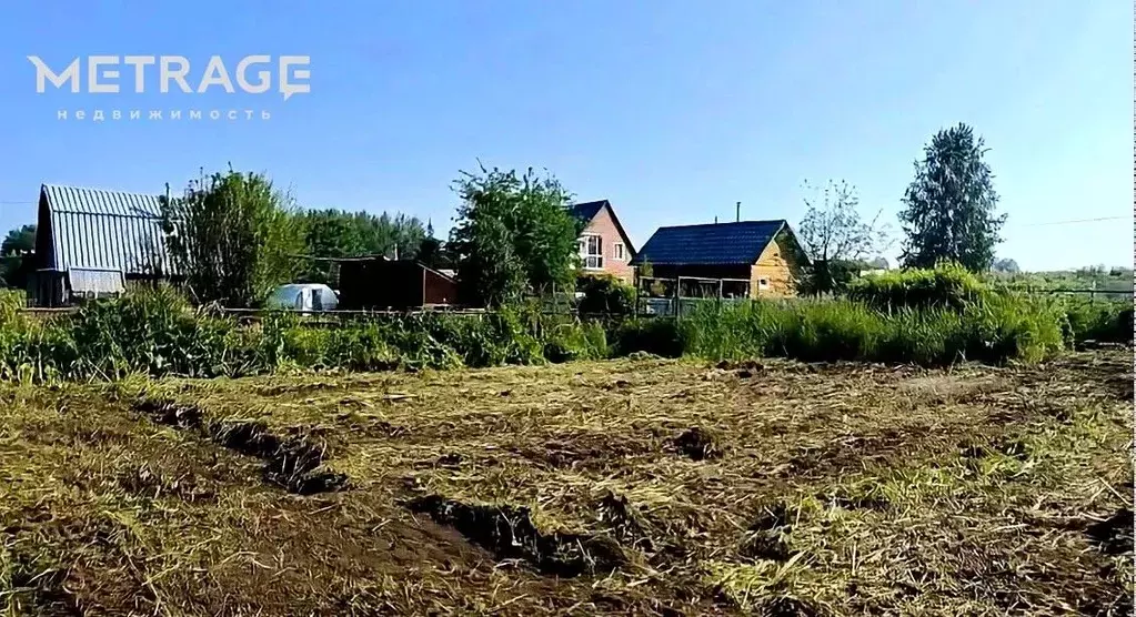 Участок в Новосибирская область, Колыванский район, Вилана садовое ... - Фото 1