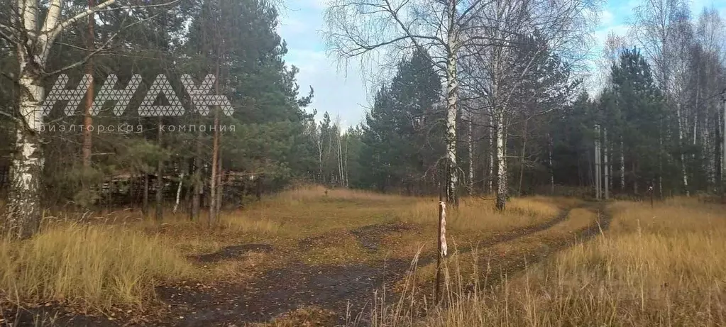 Участок в Нижегородская область, Нижний Новгород пос. Березовая Пойма, ... - Фото 1