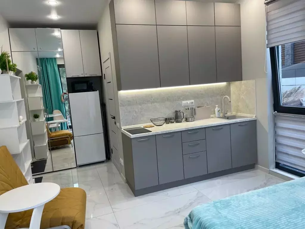 1-к кв. Краснодарский край, Сочи Виноградная ул., 219А (21.0 м) - Фото 2