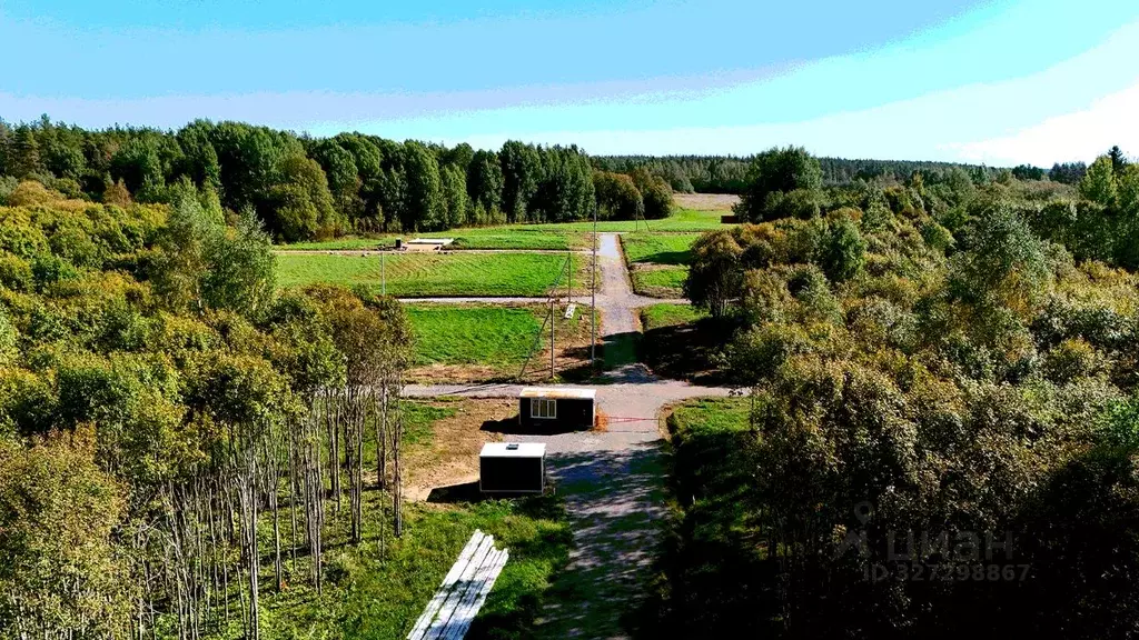 Участок в Ленинградская область, Приозерский район, Красноозерное ... - Фото 1