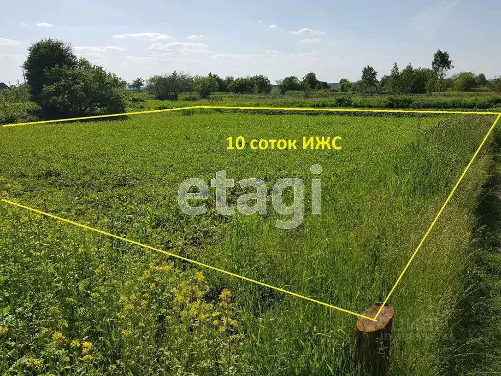 Участок в Брянская область, Выгоничский район, Кокинское с/пос, с. ... - Фото 1