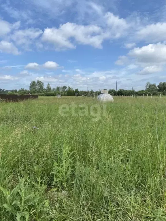 участок в красноярский край, березовский район, бархатовский . - Фото 0