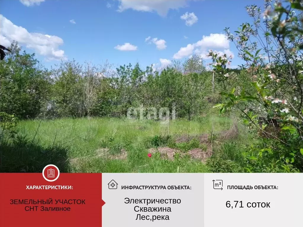 Участок 6,7 сот. (СНТ, ДНП) - Фото 0