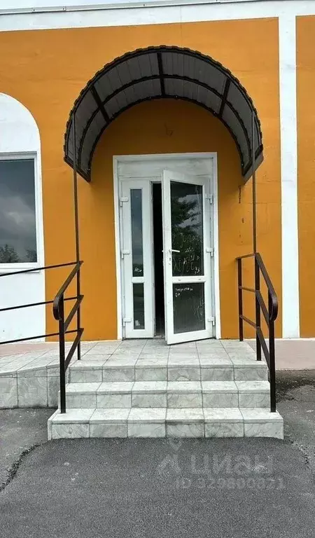 Помещение свободного назначения в Свердловская область, Алапаевск ул. ... - Фото 2
