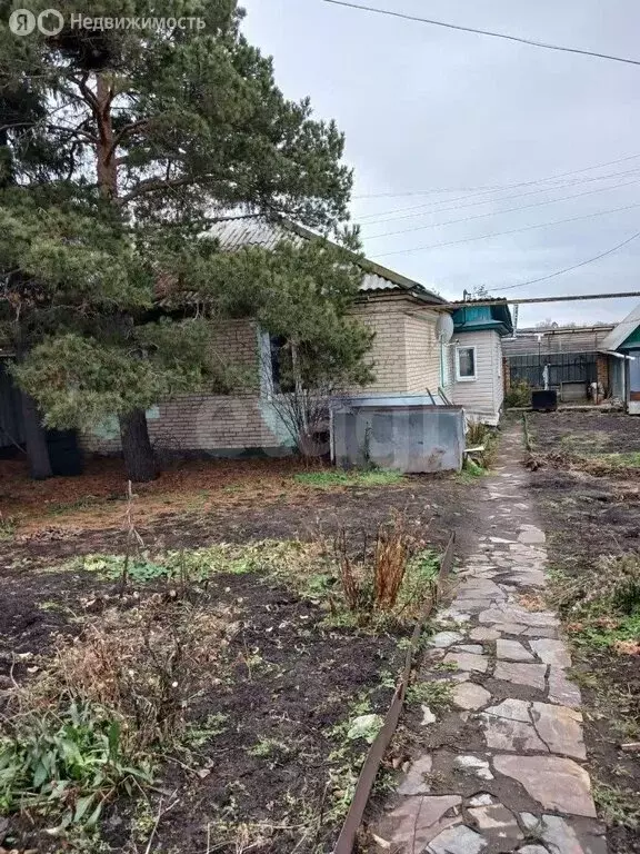 3-комнатная квартира: Челябинская область, Троицкий муниципальный ... - Фото 1