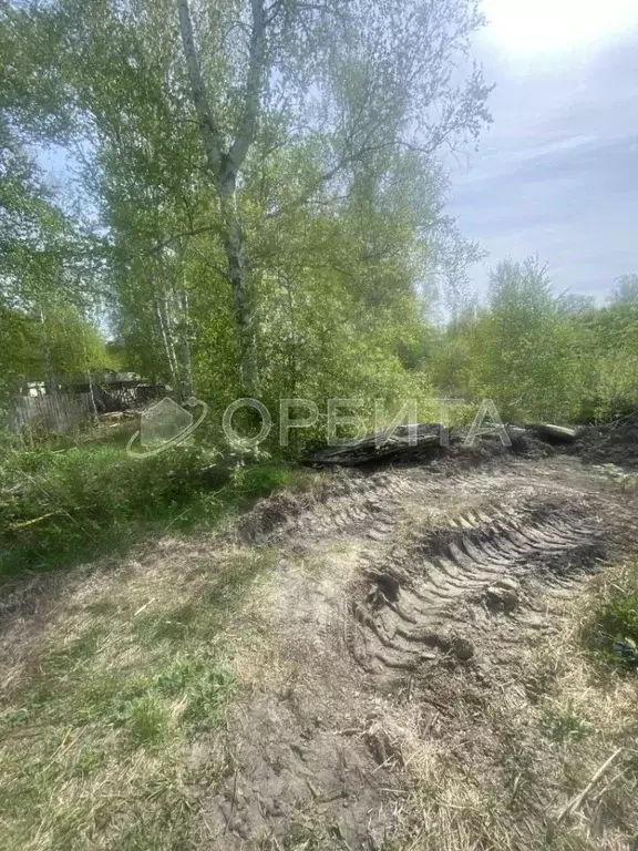Участок в Тюменская область, Тюмень Надежда-2 СНТ, ул. Фруктовая, 21 ... - Фото 1