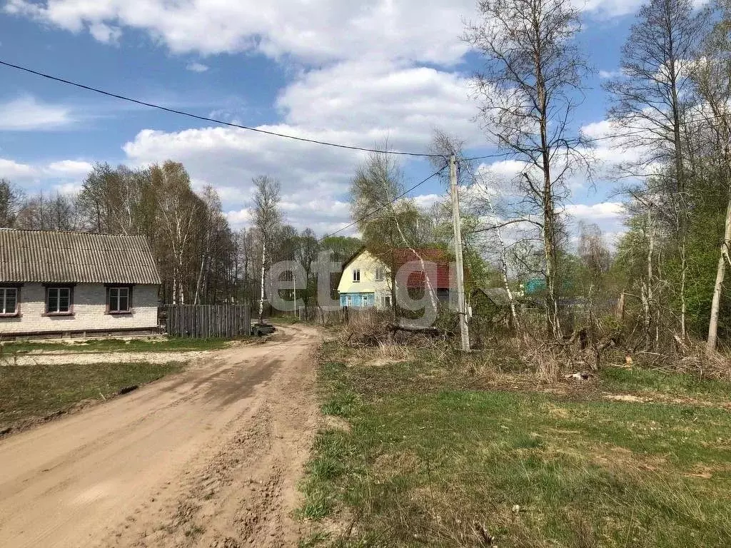 Участок в Брянская область, Брянский район, Нетьинское с/пос, д. ... - Фото 1