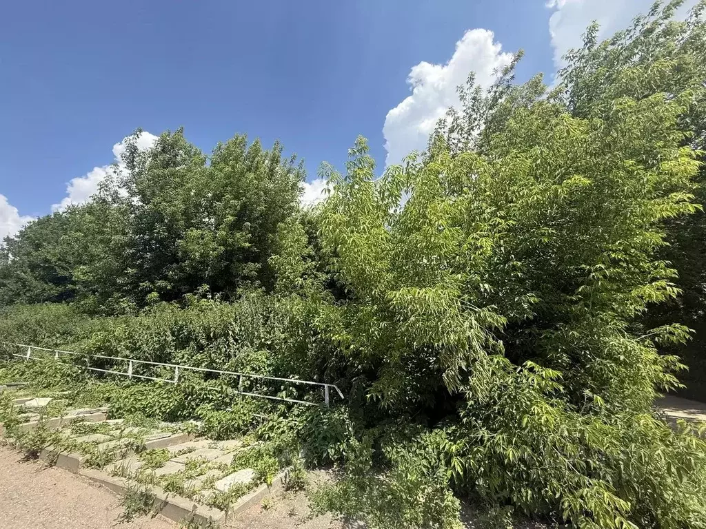 Участок в Московская область, Подольск городской округ, д. Быковка ул. ... - Фото 2