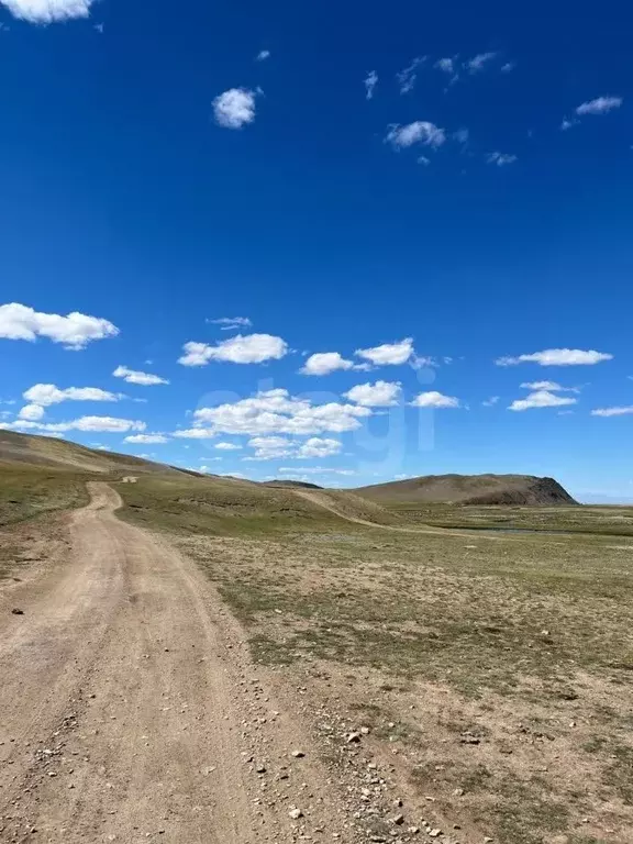 Участок в Алтай, Кош-Агачский район, с. Ташанта  (5250.0 сот.) - Фото 1