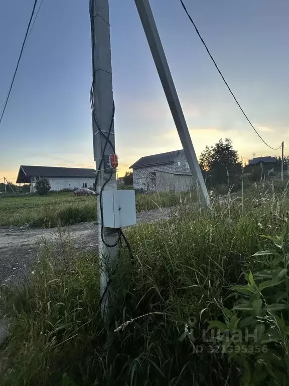 Участок в Ленинградская область, Всеволожский район, Колтушское ... - Фото 1