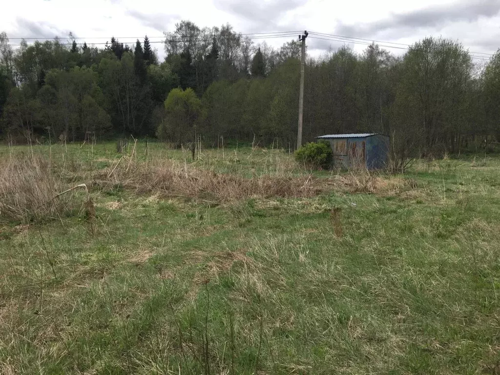 Участок в Московская область, Пушкинский городской округ, д. Раково  ... - Фото 2