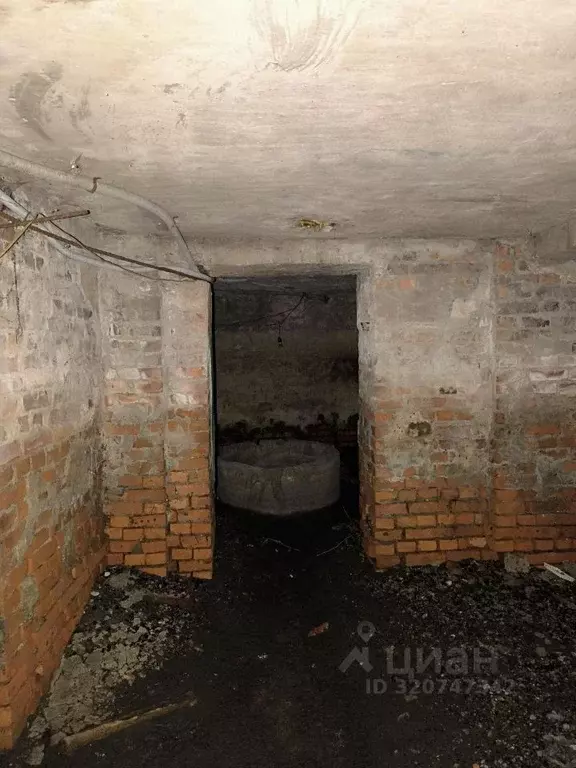 Помещение свободного назначения в Карелия, Петрозаводск просп. Ленина, ... - Фото 1