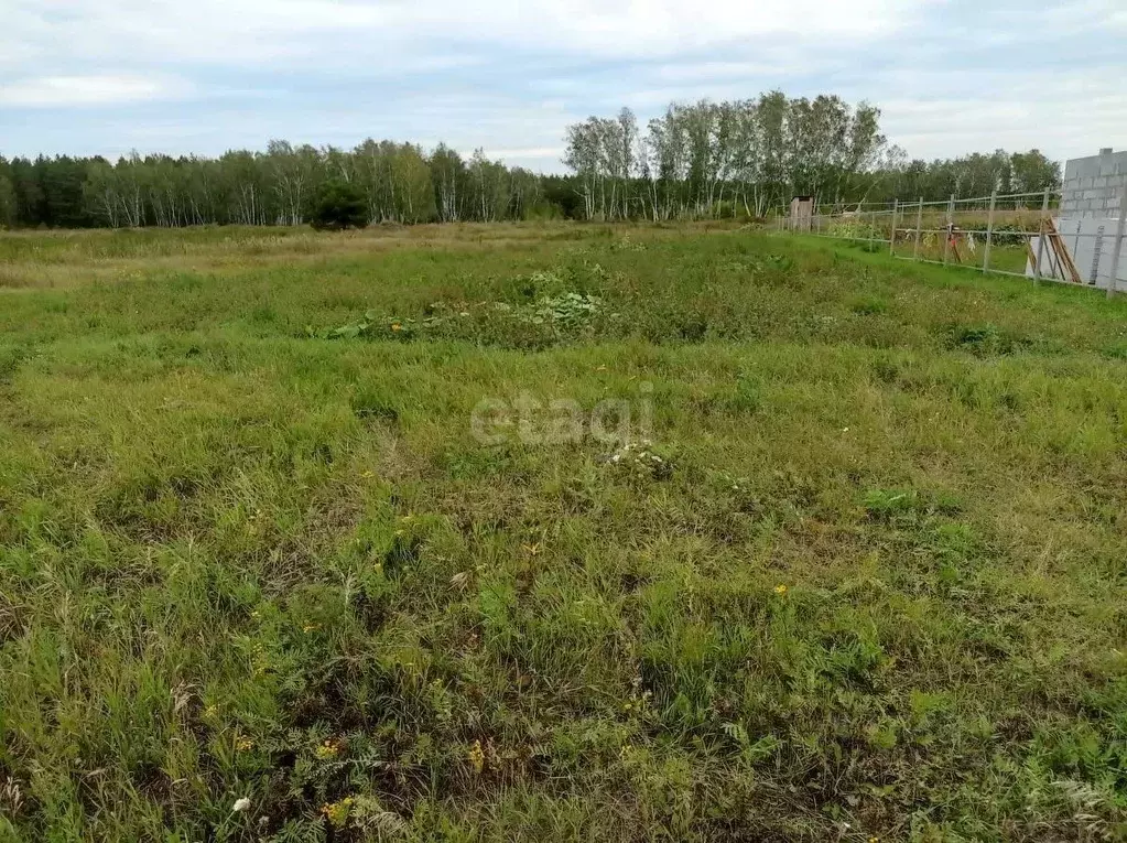 Участок в Омская область, Омский район, с. Красноярка ул. Ленина (10.0 ... - Фото 0