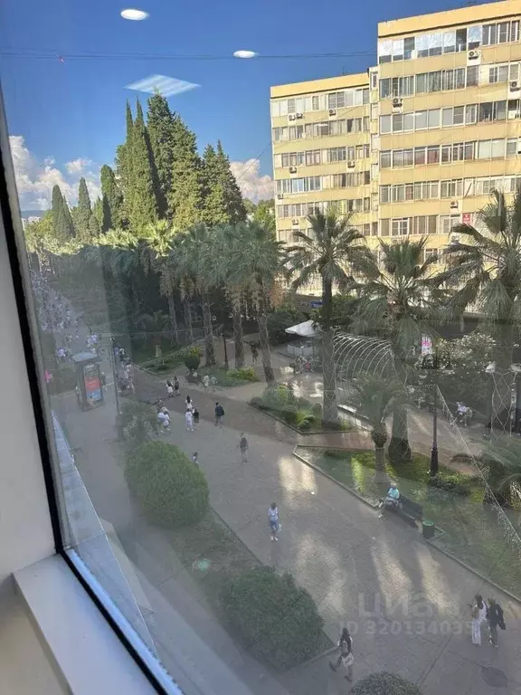 Помещение свободного назначения в Краснодарский край, Сочи Центральный ... - Фото 1