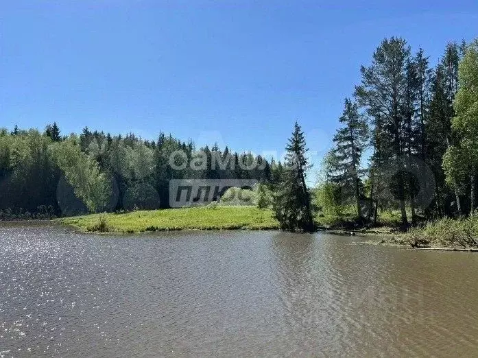 Участок в Калужская область, Боровский муниципальный округ, с. Ворсино ... - Фото 1