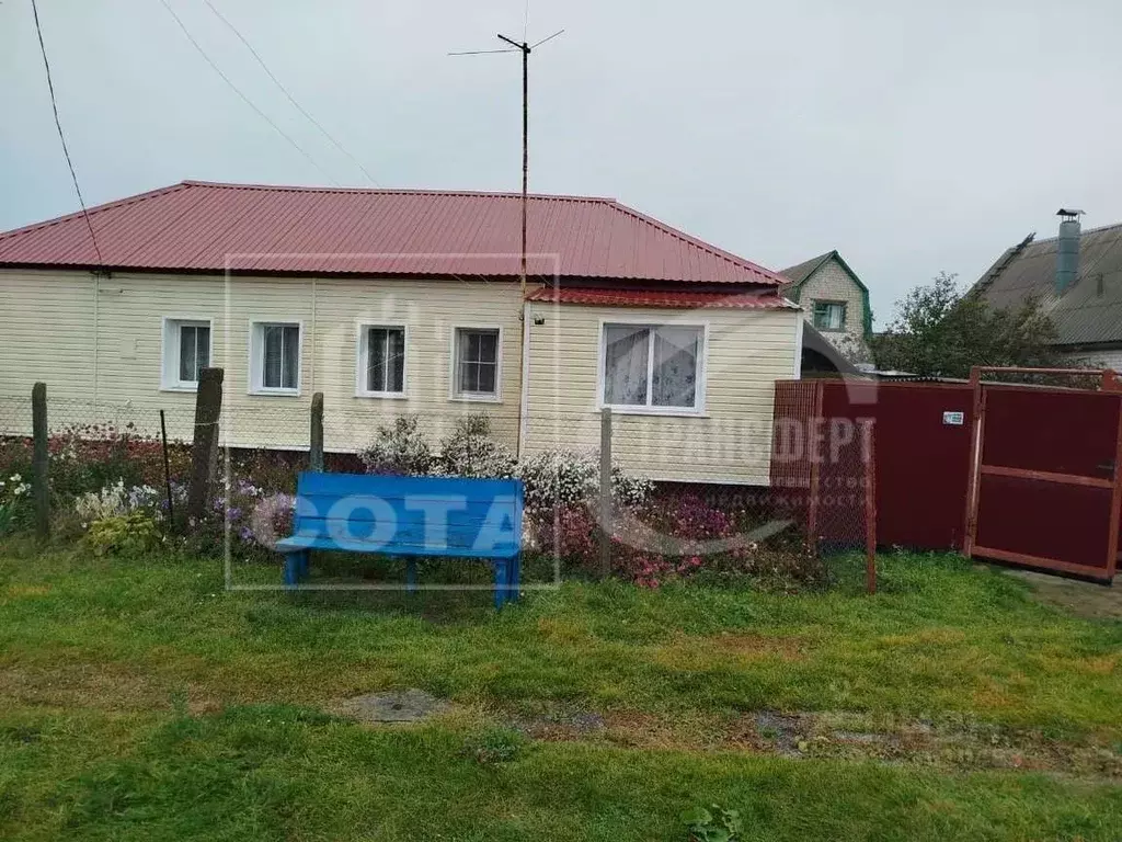 Дом в Воронежская область, Хохольский район, с. Петино Зеленая ул., 13 ... - Фото 1