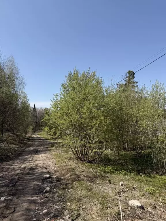 Участок в Томская область, Томск пос. Родионово, ул. Полянка, 2 (14.0 ... - Фото 2