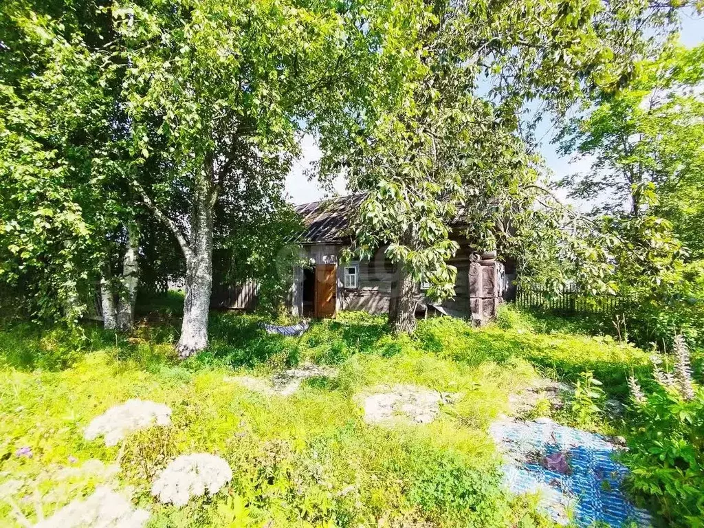 Дом в Вологодская область, д. Остюнино 3 (47 м) - Фото 1