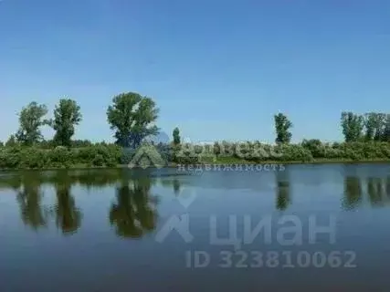 Участок в Тюменская область, Нижнетавдинский муниципальный округ, ... - Фото 1