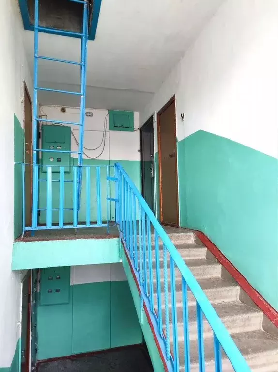 1-к кв. Омская область, Омск Береговой мкр, Иртышская ул., 15 (31.0 м) - Фото 1