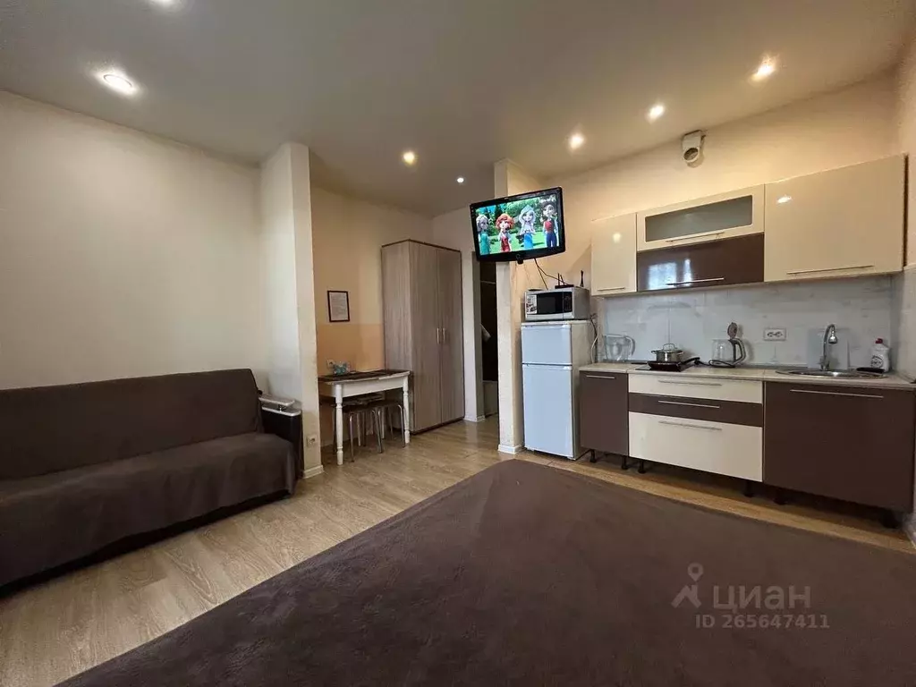 Студия Забайкальский край, Чита Петровско-Заводская ул., 23 (50.0 м) - Фото 1