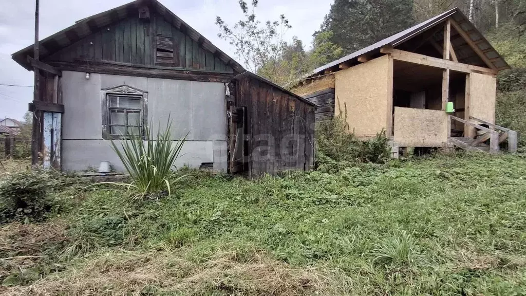 Дом в Алтай, Майминский район, с. Кызыл-Озек ул. Горького, 45 (26 м) - Фото 1