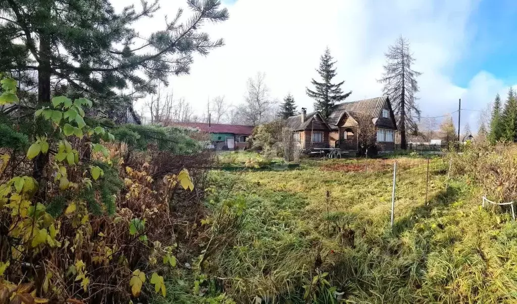 Дом в Камчатский край, Елизовский муниципальный округ, Океан СНТ  (35 ... - Фото 1