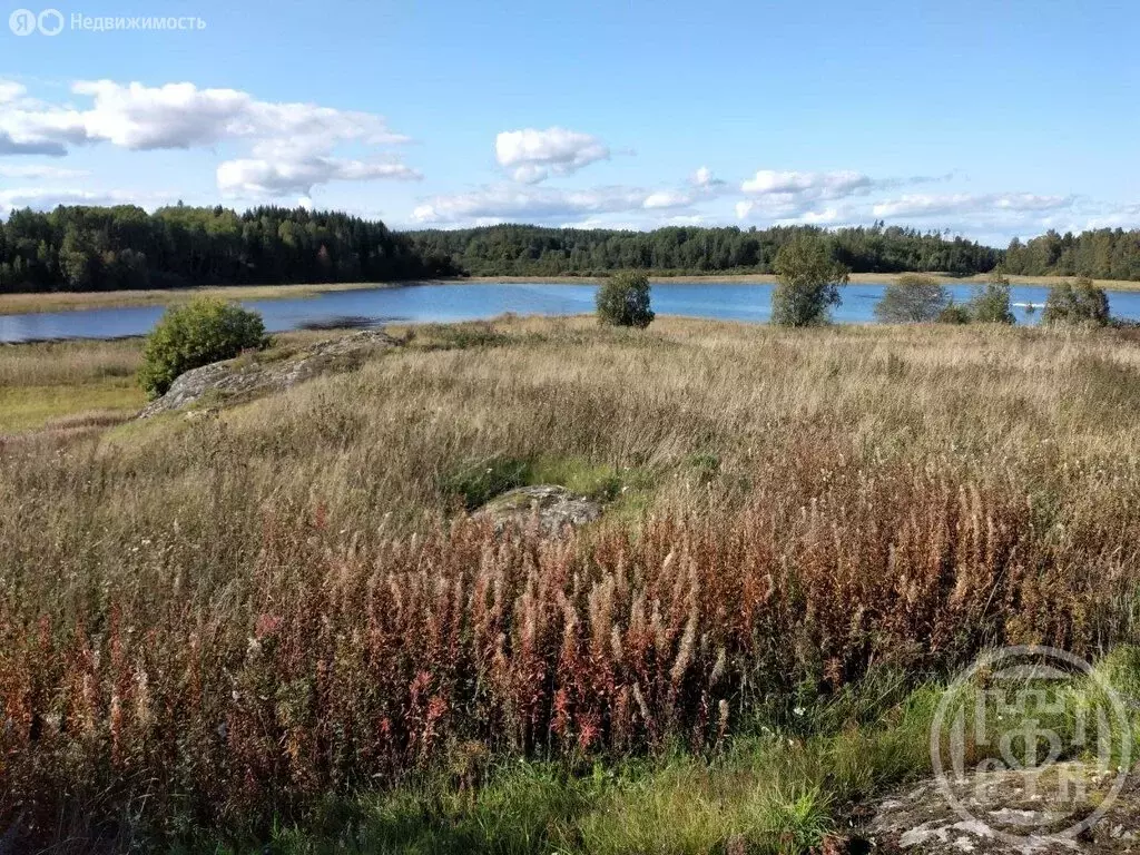 Участок в Республика Карелия, Лахденпохский муниципальный округ, ... - Фото 2