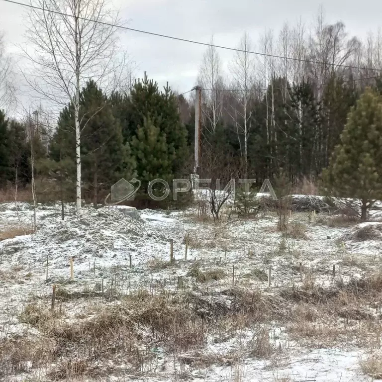 Участок в Тюменская область, Нижнетавдинский муниципальный округ, ... - Фото 1