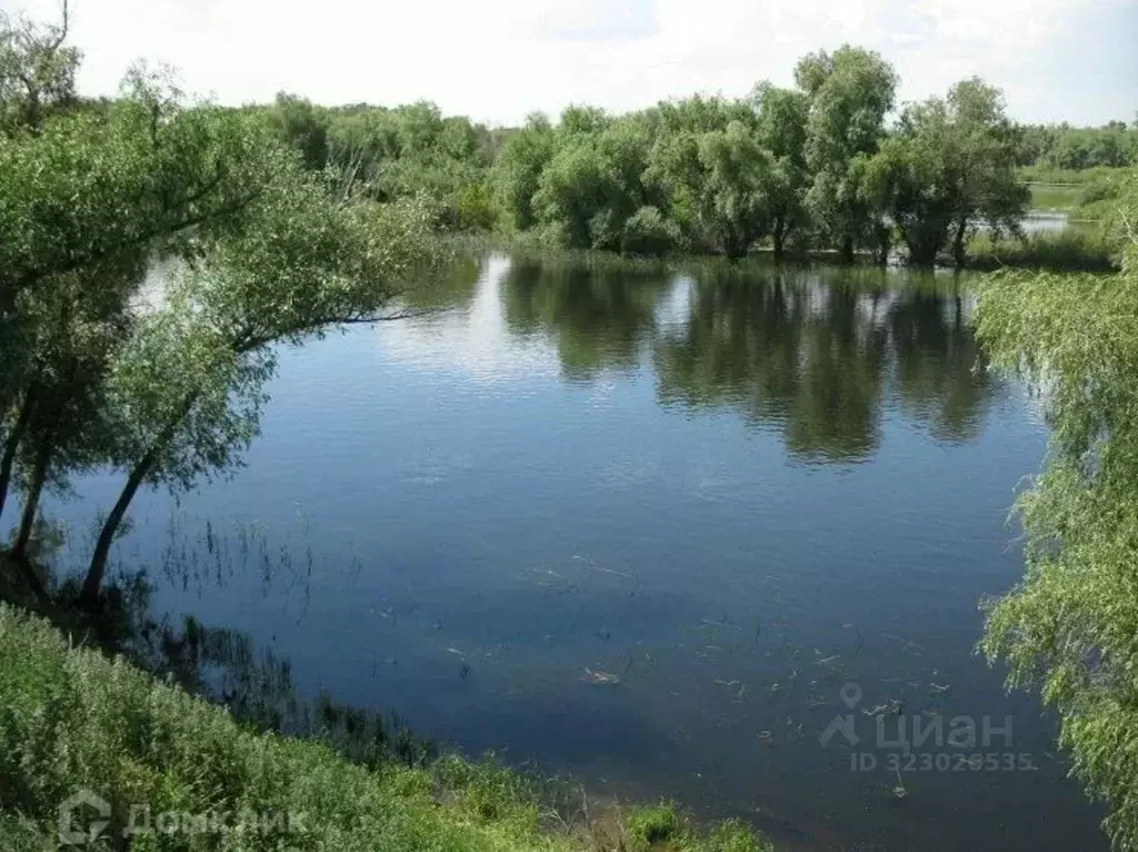 Участок в Саратовская область, Энгельсский район, с. Красный Яр Лесная ... - Фото 1