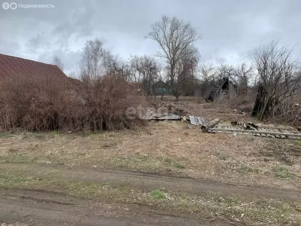 Участок в Владимирская область, Меленковский муниципальный округ, село ... - Фото 0