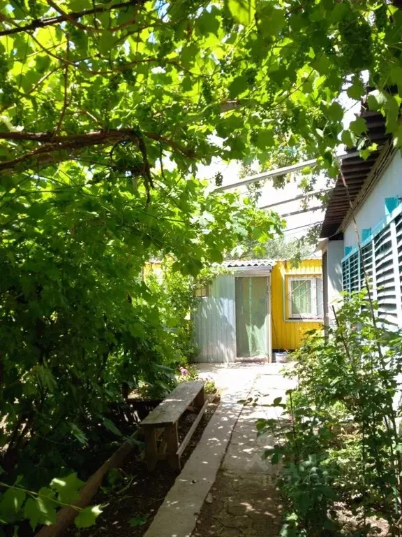 Участок в Волгоградская область, Среднеахтубинский район, Куйбышевское ... - Фото 2