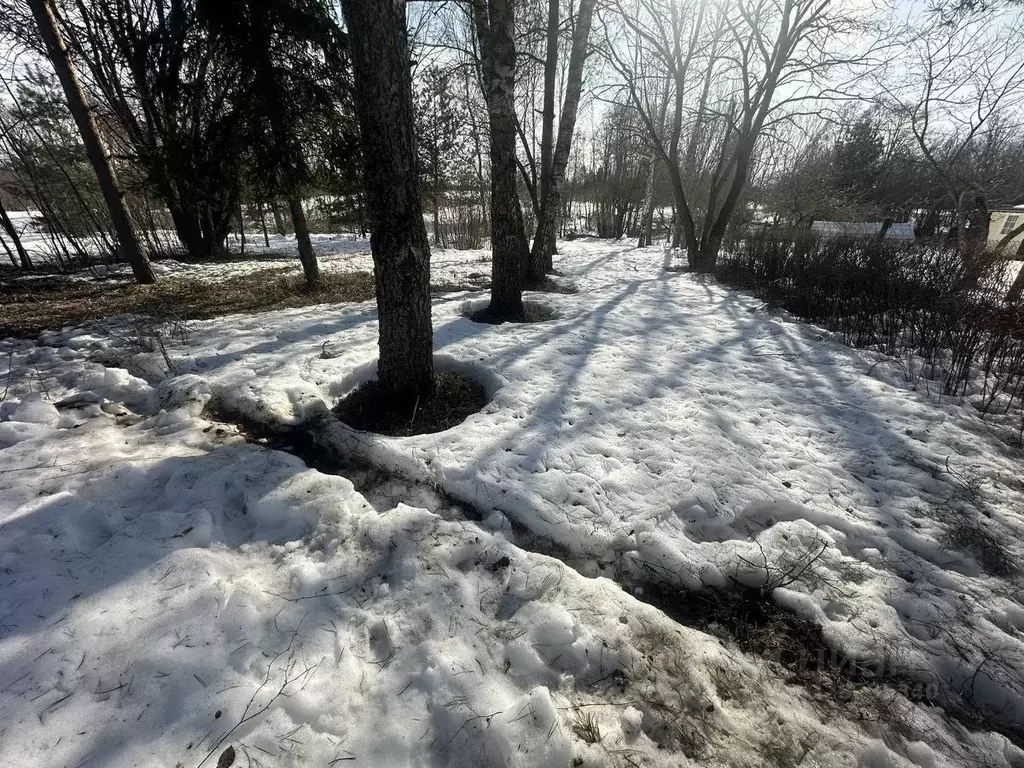 Участок в Московская область, Рузский муниципальный округ, с. Старо  ... - Фото 2